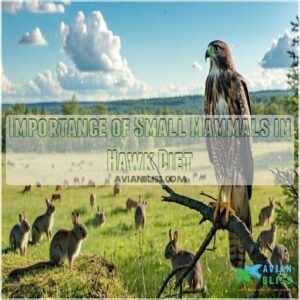 Importance of Small Mammals in Hawk Diet