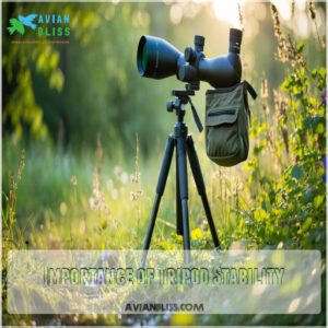 Importance of Tripod Stability