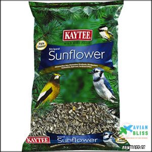 Kaytee Striped Sunflower Wild Bird