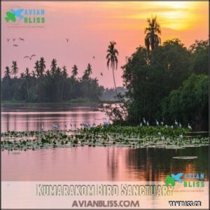 Kumarakom Bird Sanctuary