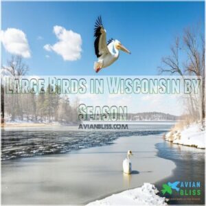 Large Birds in Wisconsin by Season