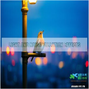 Light and Noise Pollution Effects