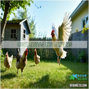 Light Breeds and Bantams