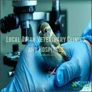 Local Avian Veterinary Clinics and Hospitals