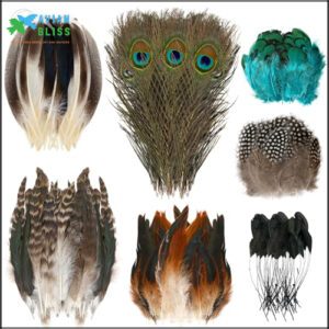 MARFOREVER 100 Pcs Natural Pheasant