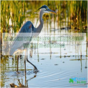 marsh bird with long legs