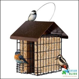 MEKKAPRO Suet Feeder for Outside