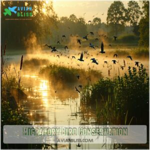 Migratory Bird Conservation