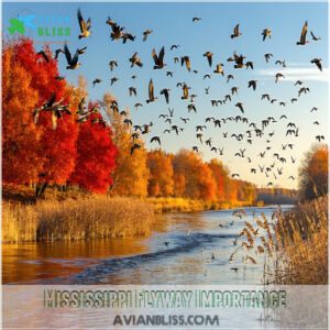 Mississippi Flyway Importance