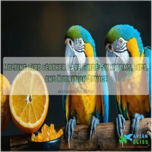 molting bird feather care guide