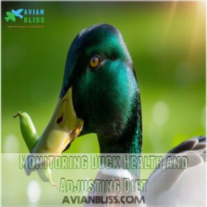 Monitoring Duck Health and Adjusting Diet