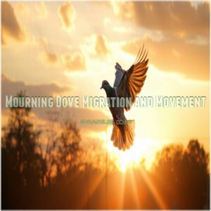 Mourning Dove Migration and Movement