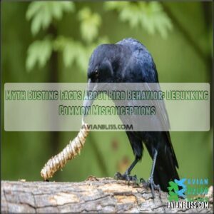 myth busting facts about bird behavior