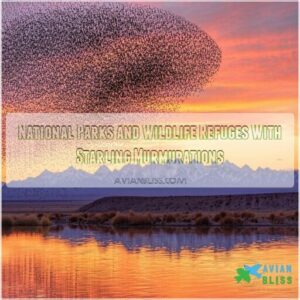 National Parks and Wildlife Refuges With Starling Murmurations