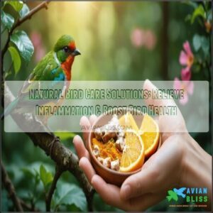 natural bird care solutions