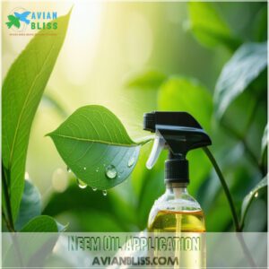 Neem Oil Application