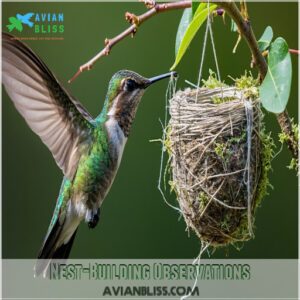 Nest-Building Observations