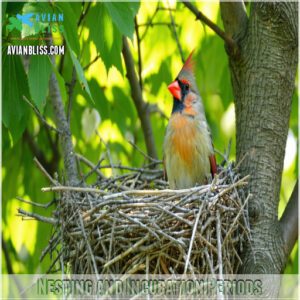 Nesting and Incubation Periods