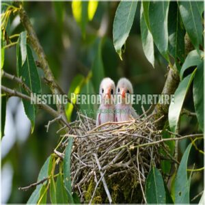 Nesting Period and Departure