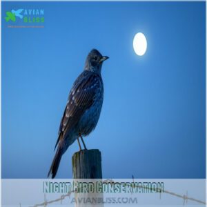 Night Bird Conservation