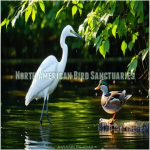 North American Bird Sanctuaries