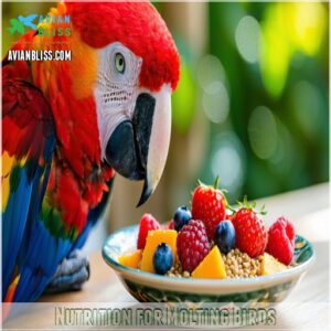 Nutrition for Molting Birds