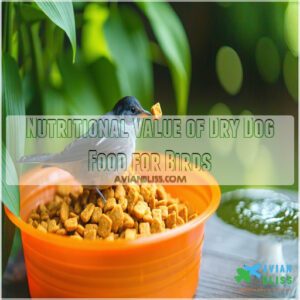 Nutritional Value of Dry Dog Food for Birds