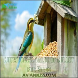 Nutritional Value of Millet for Birds