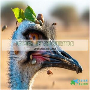 Ostrich Diet and Nutrition