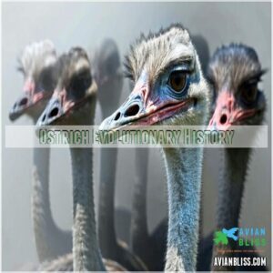 Ostrich Evolutionary History