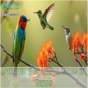 Overview of Small Birds in Texas