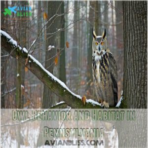 Owl Behavior and Habitat in Pennsylvania