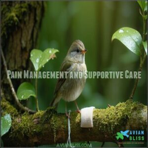 Pain Management and Supportive Care