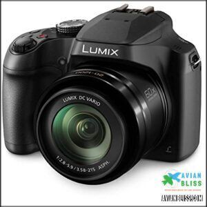 Panasonic LUMIX 4K Digital Camera, B01MS16V42