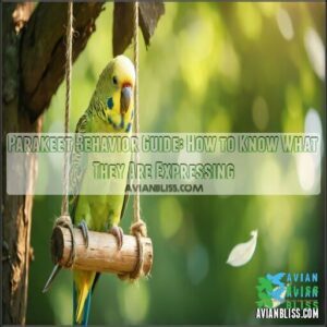 parakeet behavior guide how to know what they are expressing