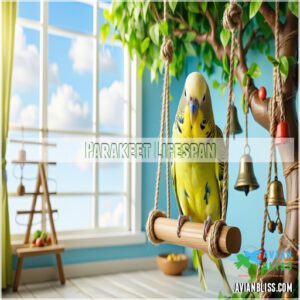 Parakeet Lifespan