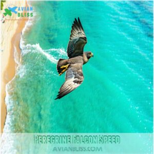 Peregrine Falcon Speed