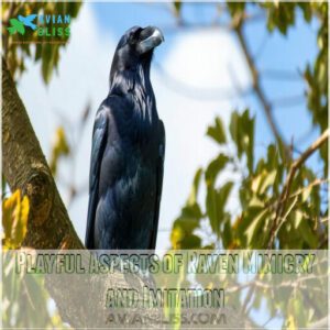 Playful Aspects of Raven Mimicry and Imitation