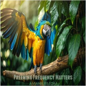 Preening Frequency Matters