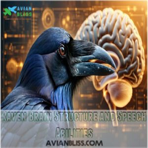 Raven Brain Structure and Speech Abilities