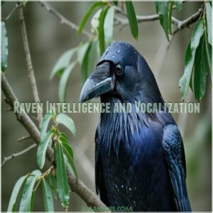 Raven Intelligence and Vocalization