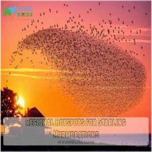 Regional Hotspots for Starling Murmurations