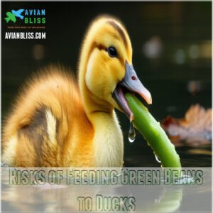 Risks of Feeding Green Beans to Ducks