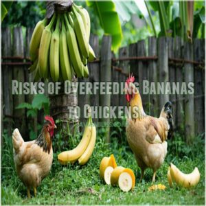 Risks of Overfeeding Bananas to Chickens