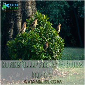 Robins Sleep for 12-14 Hours Per Day