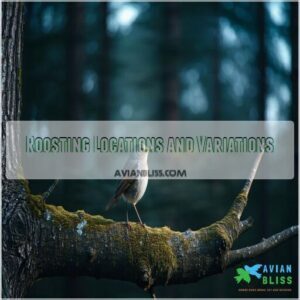 Roosting Locations and Variations