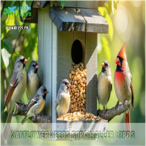 Safflower Seeds for Smaller Birds