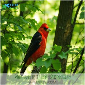 Scarlet Tanager Range Map