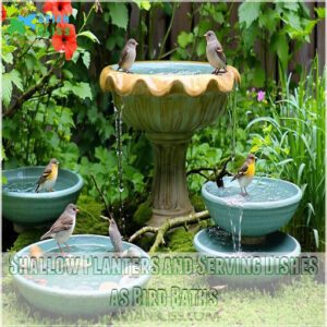 Shallow Planters and Serving Dishes as Bird Baths