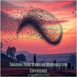 Sharing Your Starling Murmuration Experience